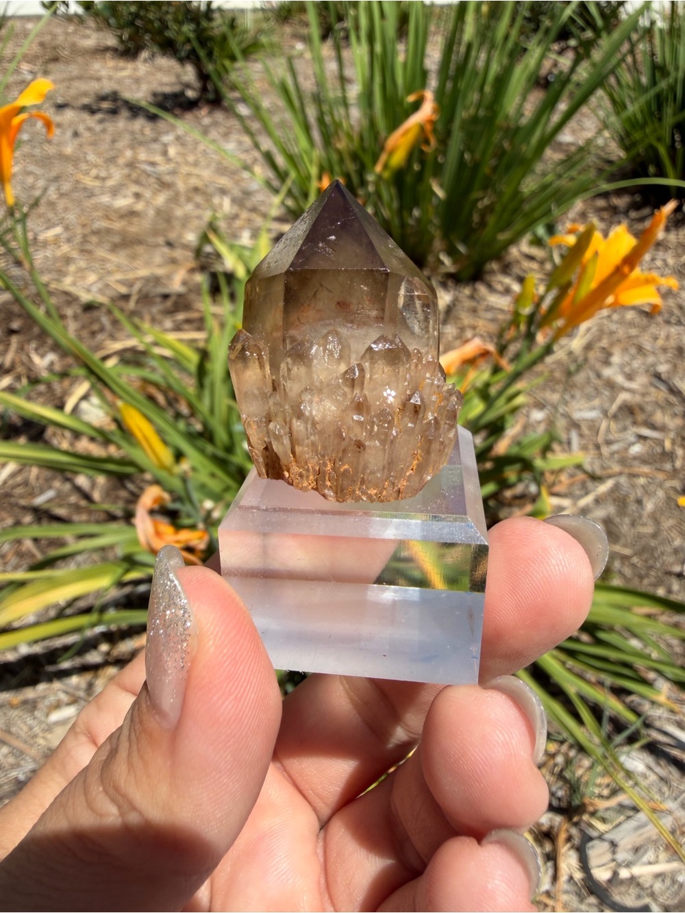 Natural Smoky Quartz Pineapple Cluster Hidden Mountain Phantom Crystal,A603